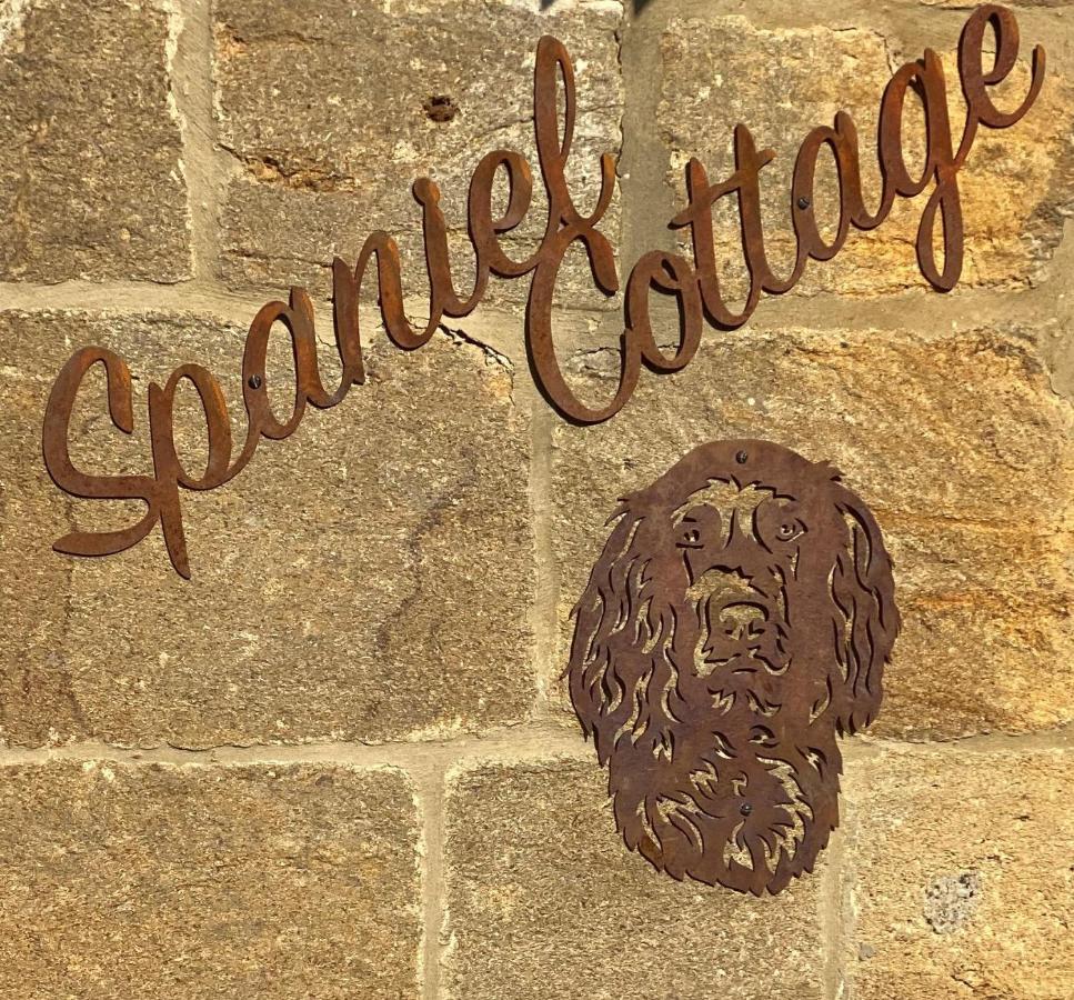 Spaniel Cottage With Views Of Ham Hill, Stoke Sub Hamdon Martock ภายนอก รูปภาพ