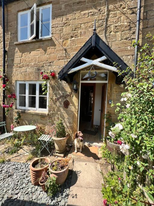 Spaniel Cottage With Views Of Ham Hill, Stoke Sub Hamdon Martock ภายนอก รูปภาพ